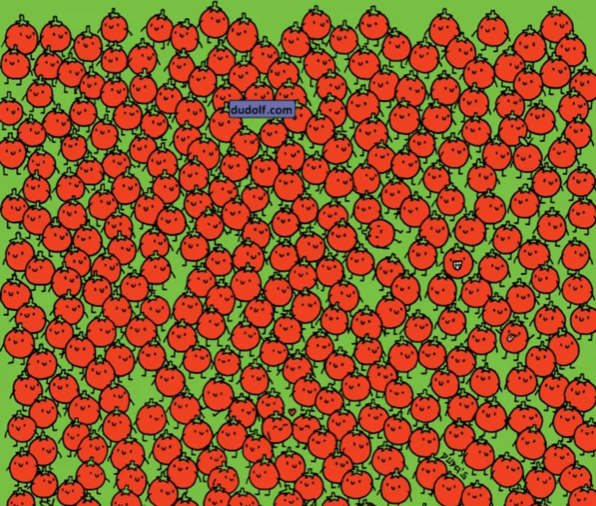 Snažte sa nájsť jablká čo najrýchlejšie / foto thedudolf.blogspot.com