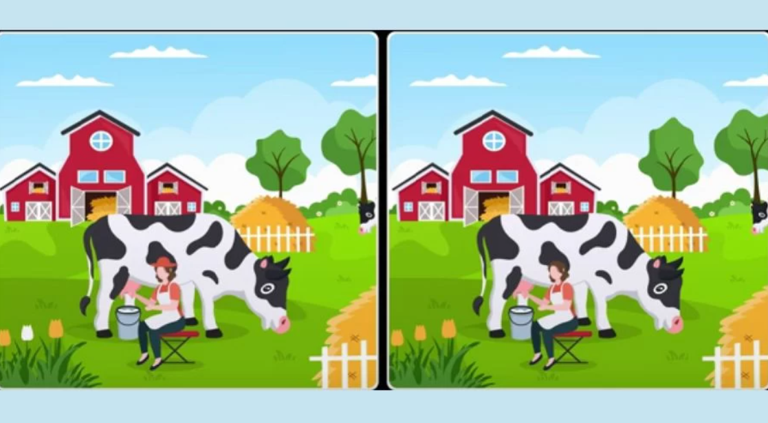 Fotografia Fresherslive