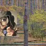 Nájdeš psa v lese za 7 sekúnd: super náročná logická