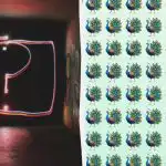 Nájdite podivného páva medzi stovkami iných za 10 sekúnd: super náročná logická hra Nájdite podivného páva medzi stovkami iných za 10 sekúnd: super